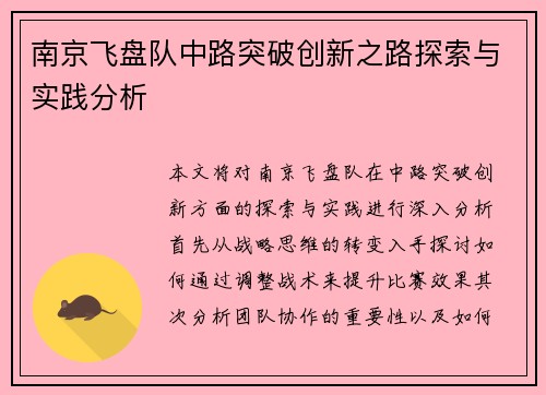 南京飞盘队中路突破创新之路探索与实践分析